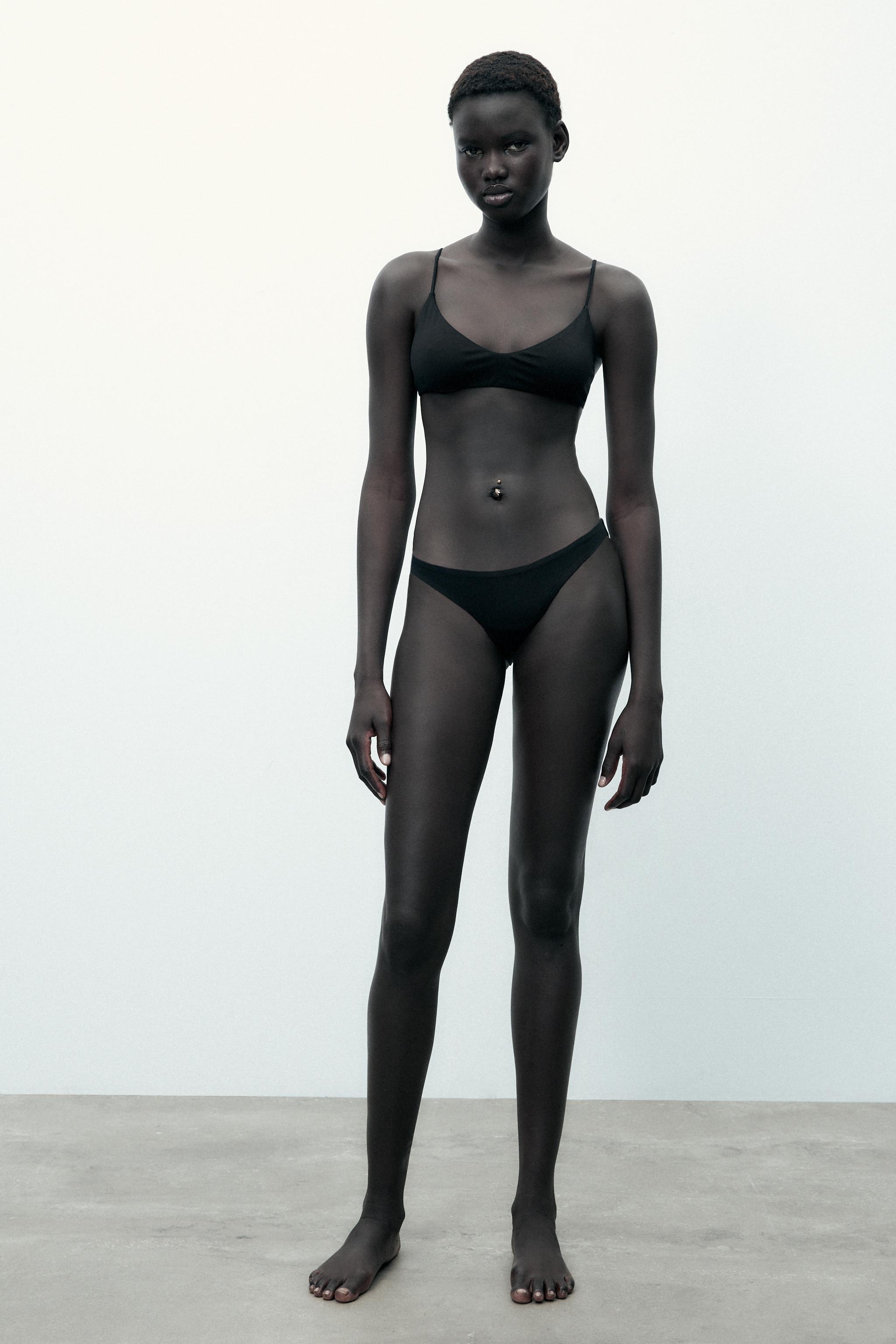 MODAL FULL BRIEF